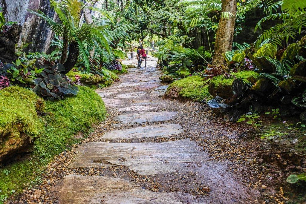 Natural stone walkway winding through a planted garden