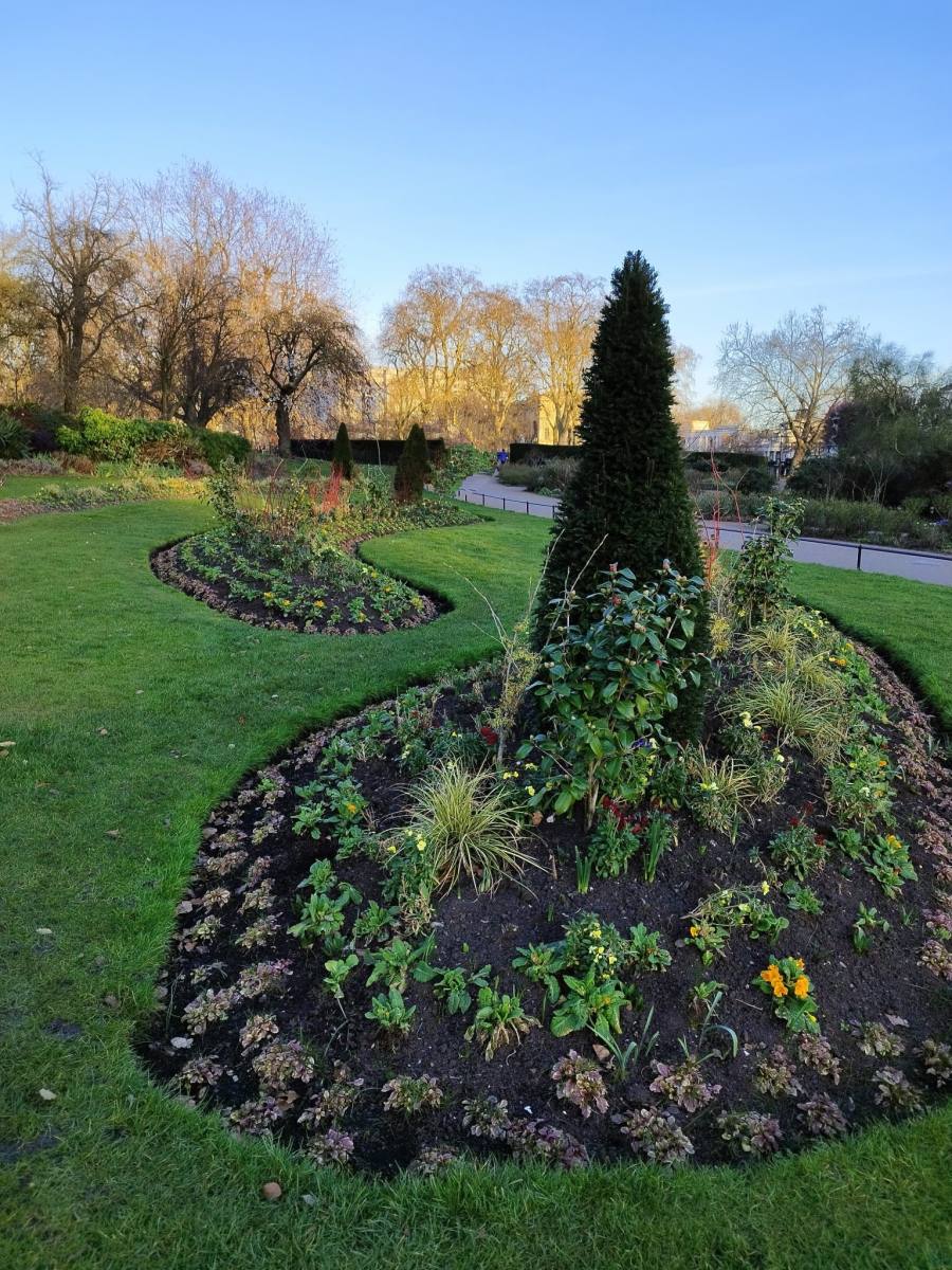 Landscape beds with shaped shrubs and clean edging