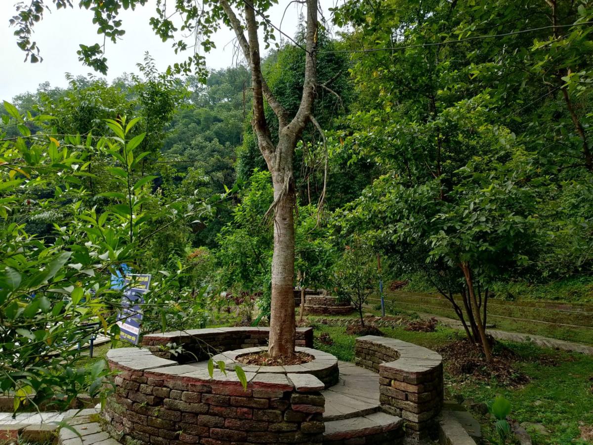 Terraced garden built with a stacked stone retaining wall