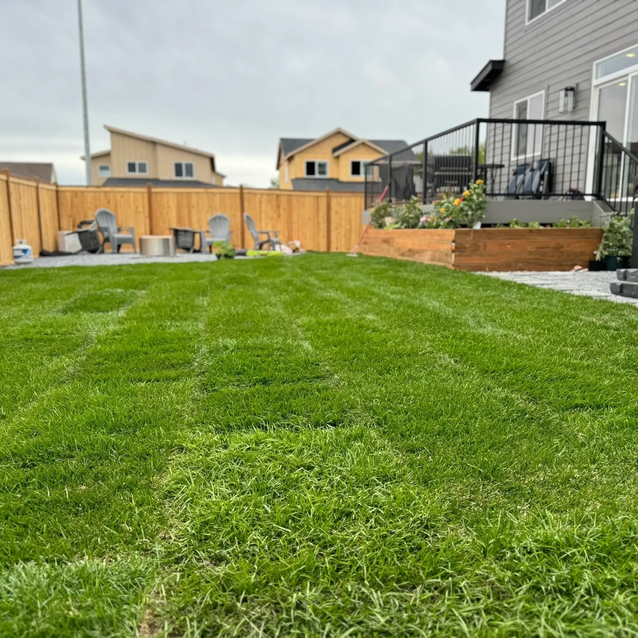 Freshly laid lawn enclosed by a cedar fence with a raised timber planter