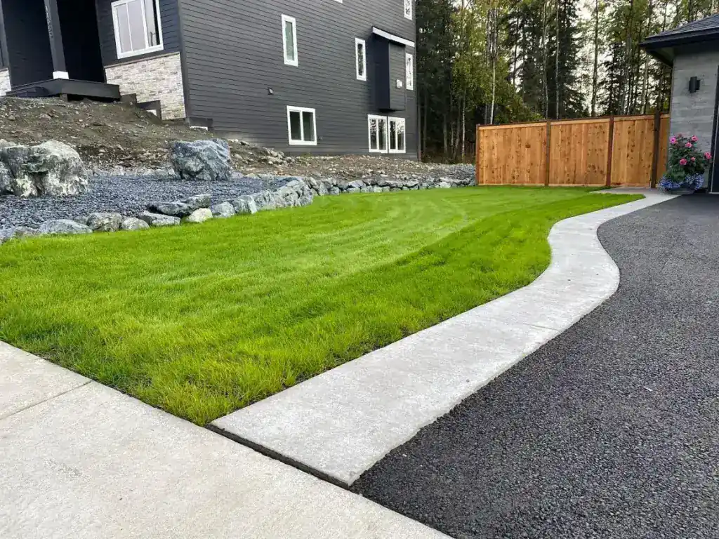 New sod lawn edged by a concrete walkway with boulders and a cedar fence